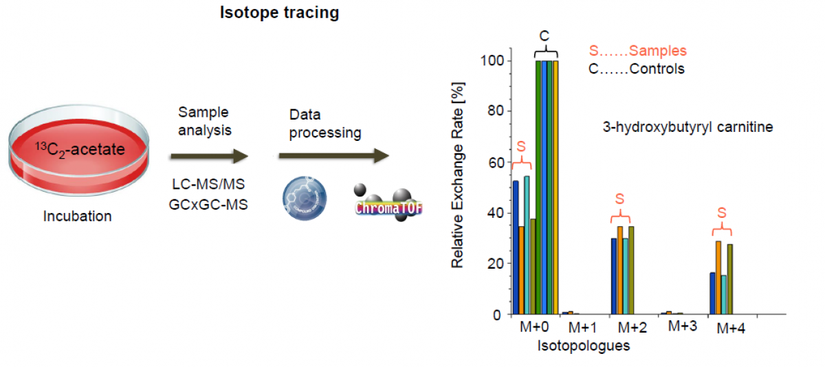 Isotope tracing
