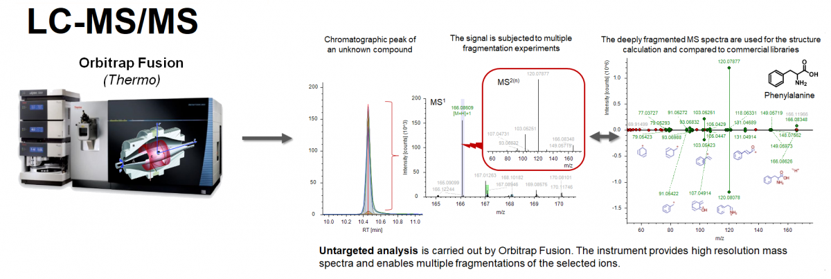 LC-MS-MS_Untargeted metabolomics